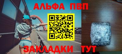 индика Сланцы