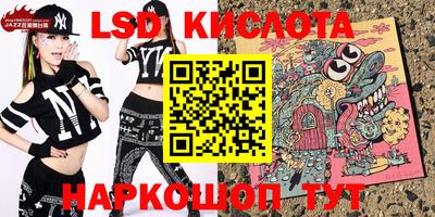 индика Сланцы