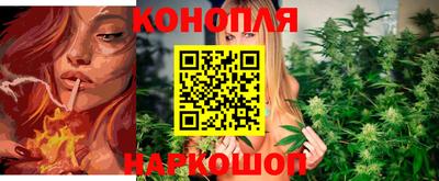 спиды Славгород