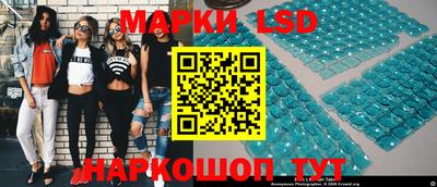 индика Сланцы