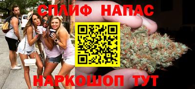 спиды Славгород