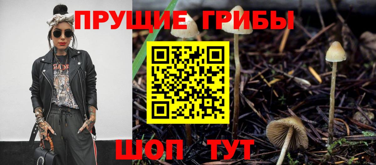 Галлюциногенные грибы Psilocybe  Вход с VPN  Отрадное 
